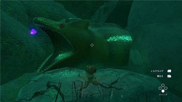 Critical Path　作品名『octΩpus』