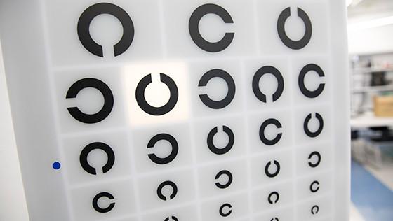 臨地実習：実施時期