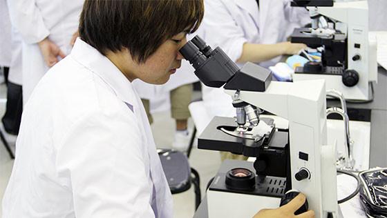 身体のしくみについて学ぶ「解剖学実習」
