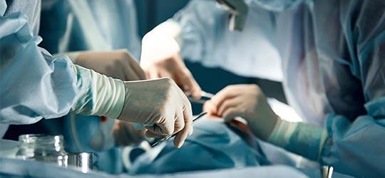 VR（仮想現実）を利用